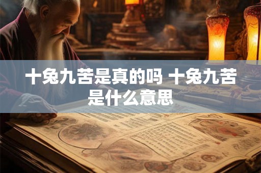 十兔九苦是真的吗 十兔九苦是什么意思