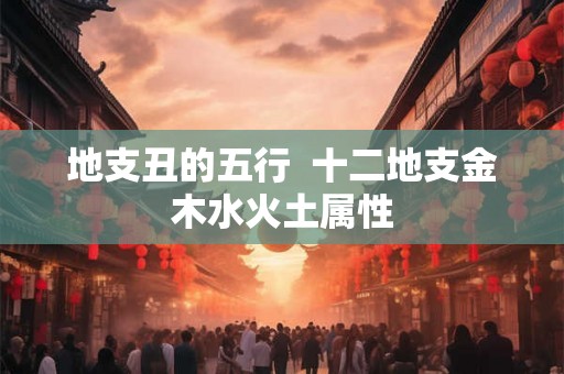 地支丑的五行  十二地支金木水火土属性