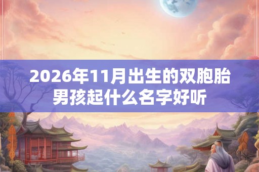 2026年11月出生的双胞胎男孩起什么名字好听