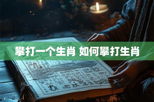 攀打一个生肖 如何攀打生肖