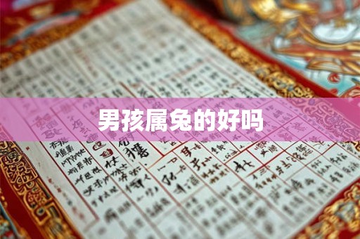 男孩属兔的好吗