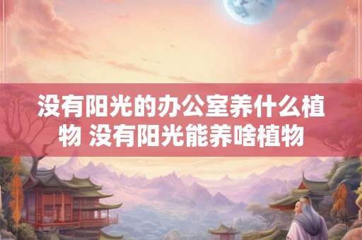 没有阳光的办公室养什么植物 没有阳光能养啥植物