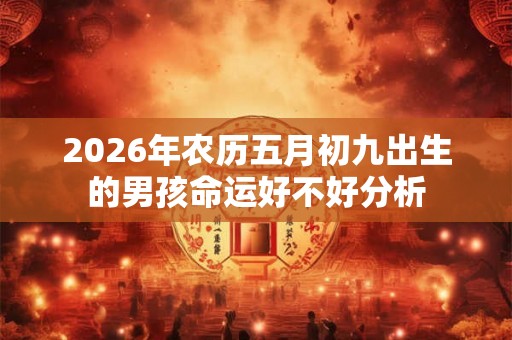 2026年农历五月初九出生的男孩命运好不好分析