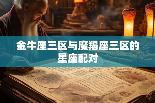 金牛座三区与魔羯座三区的星座配对