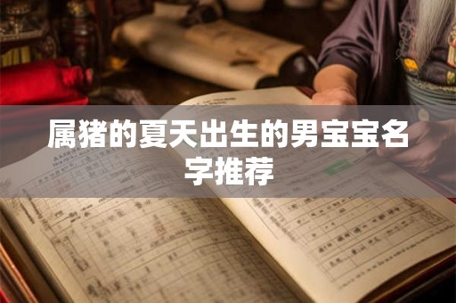 属猪的夏天出生的男宝宝名字推荐