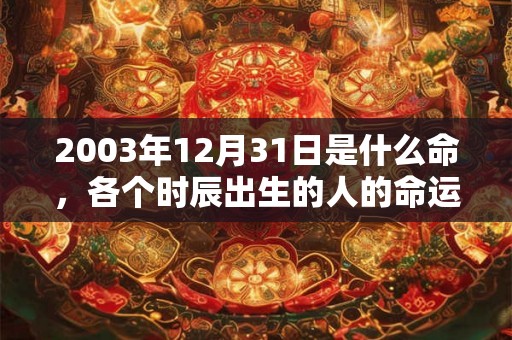 2003年12月31日是什么命，各个时辰出生的人的命运