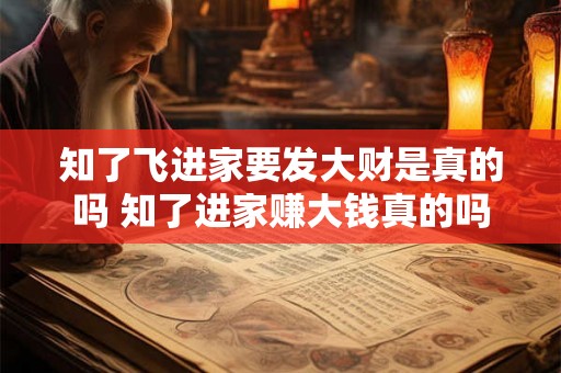 知了飞进家要发大财是真的吗 知了进家赚大钱真的吗 知了飞进家要发大财是真的吗 知了进家赚大钱真的吗