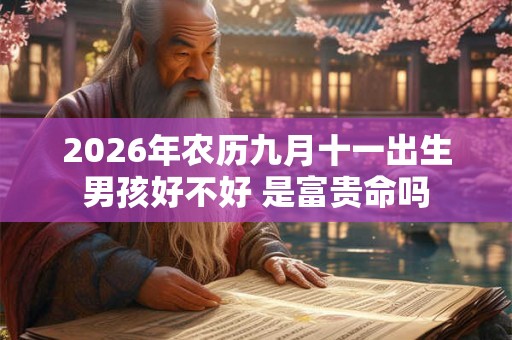 2026年农历九月十一出生男孩好不好 是富贵命吗