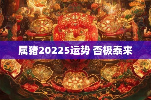 属猪20225运势 否极泰来