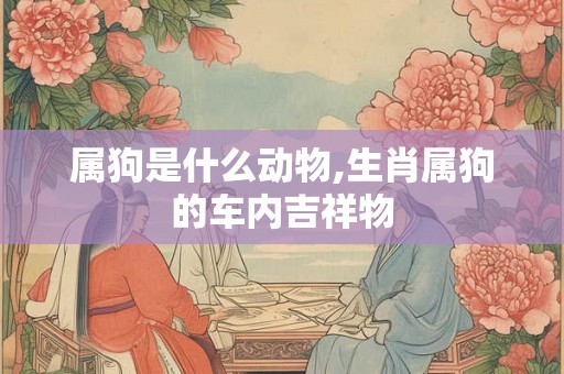 属狗是什么动物,生肖属狗的车内吉祥物