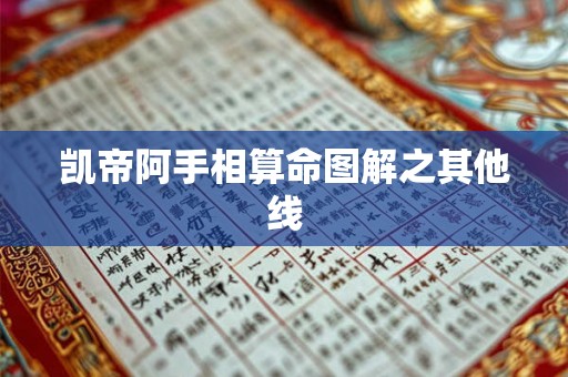 凯帝阿手相算命图解之其他线