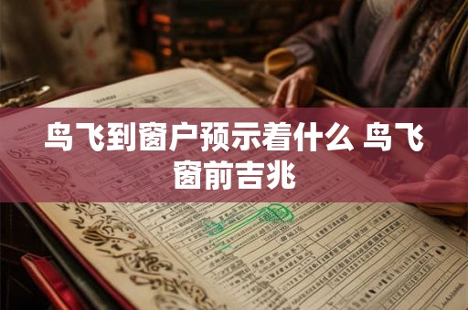 鸟飞到窗户预示着什么 鸟飞窗前吉兆
