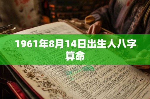 1961年8月14日出生人八字算命
