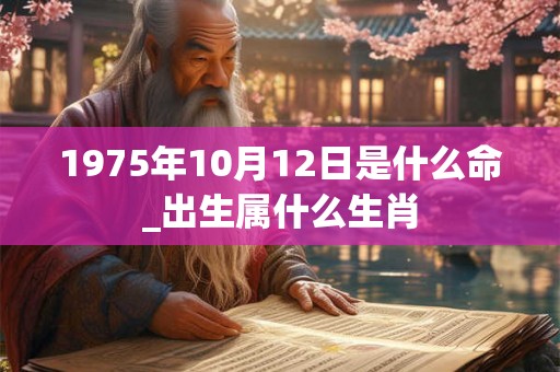 1975年10月12日是什么命_出生属什么生肖