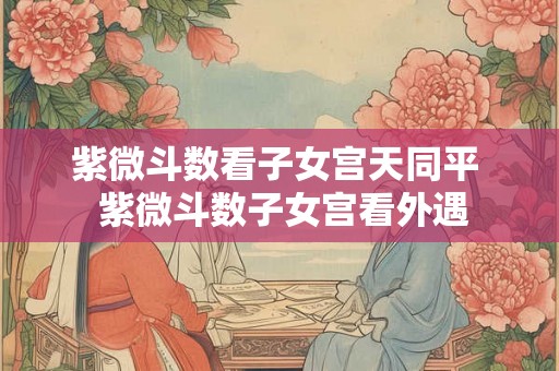 紫微斗数看子女宫天同平  紫微斗数子女宫看外遇
