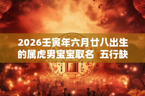 2026壬寅年六月廿八出生的属虎男宝宝取名  五行缺啥