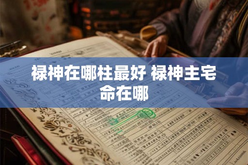 禄神在哪柱最好 禄神主宅命在哪