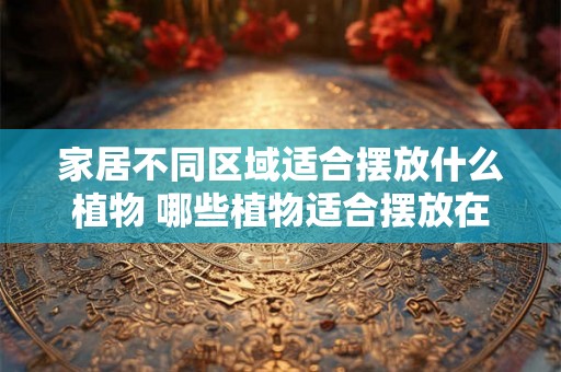 家居不同区域适合摆放什么植物 哪些植物适合摆放在家居不同区域