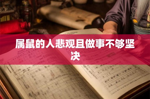 属鼠的人悲观且做事不够坚决