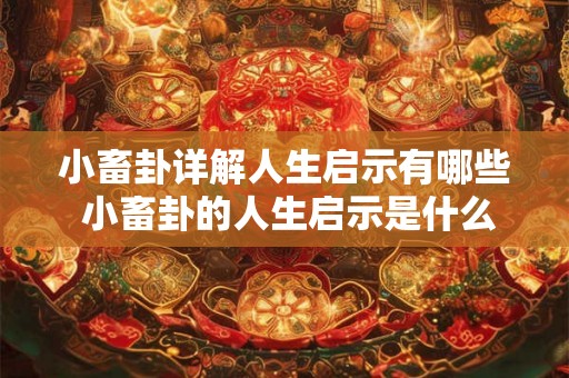 小畜卦详解人生启示有哪些 小畜卦的人生启示是什么