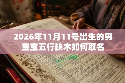 2026年11月11号出生的男宝宝五行缺木如何取名