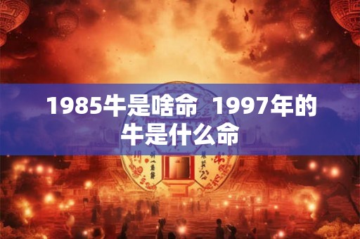 1985牛是啥命  1997年的牛是什么命