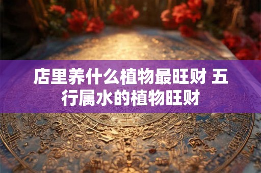 店里养什么植物最旺财 五行属水的植物旺财