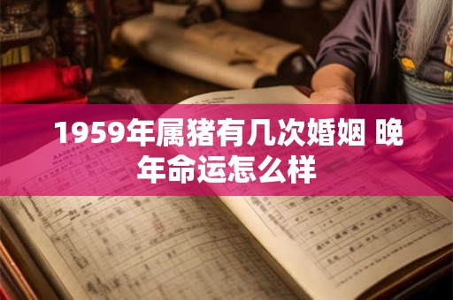 1959年属猪有几次婚姻 晚年命运怎么样