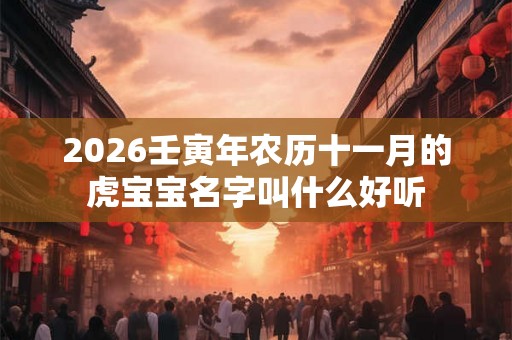 2026壬寅年农历十一月的虎宝宝名字叫什么好听