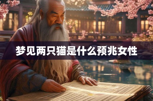 梦见两只猫是什么预兆女性