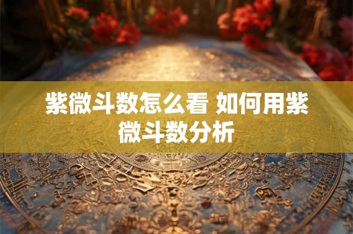 紫微斗数怎么看 如何用紫微斗数分析
