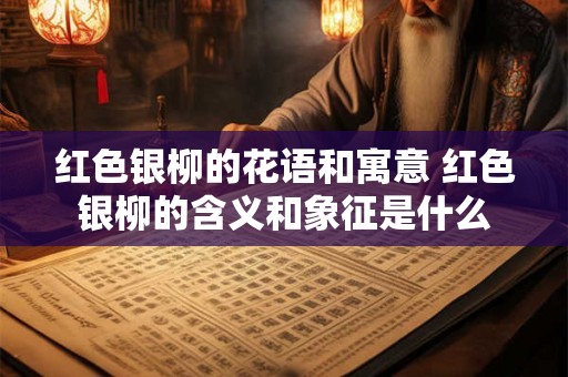 红色银柳的花语和寓意 红色银柳的含义和象征是什么 红色银柳的花语和寓意 红色银柳的含义和象征是什么