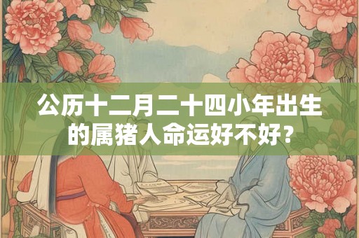 公历十二月二十四小年出生的属猪人命运好不好？