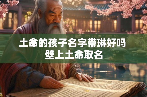 土命的孩子名字带琳好吗 壁上土命取名
