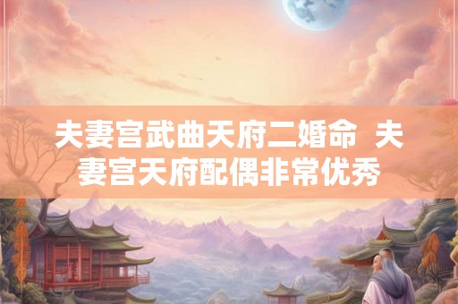 夫妻宫武曲天府二婚命 夫妻宫天府配偶非常优秀 夫妻宫武曲天府二婚命 夫妻宫天府配偶非常优秀