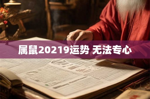 属鼠20219运势 无法专心