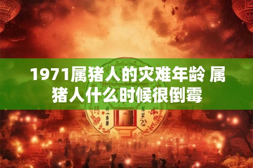1971属猪人的灾难年龄 属猪人什么时候很倒霉