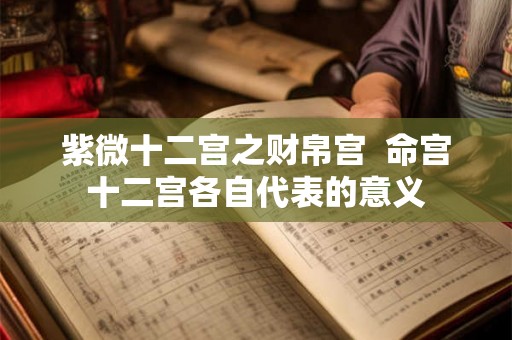紫微十二宫之财帛宫  命宫十二宫各自代表的意义