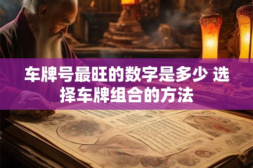 车牌号最旺的数字是多少 选择车牌组合的方法