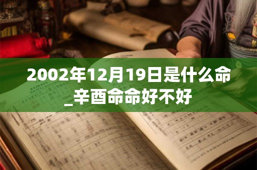 2002年12月19日是什么命_辛酉命命好不好 2002年12月19日是什么命_辛酉命命好不好