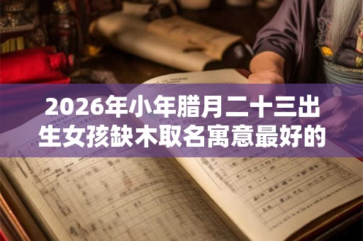 2026年小年腊月二十三出生女孩缺木取名寓意最好的字