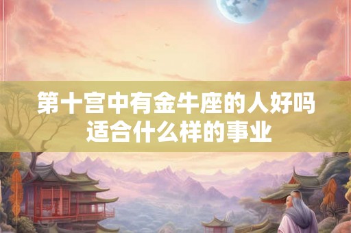 第十宫中有金牛座的人好吗 适合什么样的事业