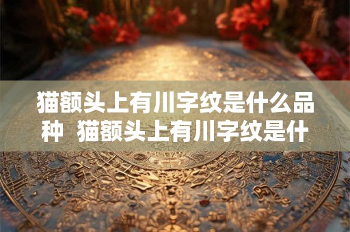 猫额头上有川字纹是什么品种  猫额头上有川字纹是什么品种的