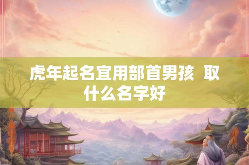 虎年起名宜用部首男孩  取什么名字好