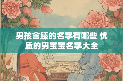 男孩含臻的名字有哪些 优质的男宝宝名字大全