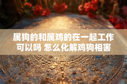 属狗的和属鸡的在一起工作可以吗 怎么化解鸡狗相害
