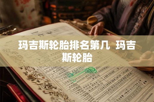 玛吉斯轮胎排名第几  玛吉斯轮胎
