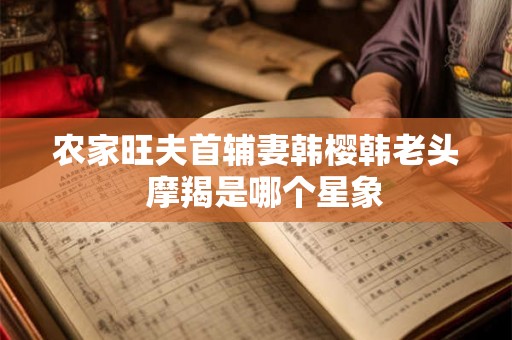 农家旺夫首辅妻韩樱韩老头  摩羯是哪个星象