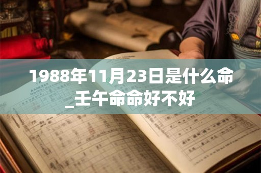 1988年11月23日是什么命_壬午命命好不好