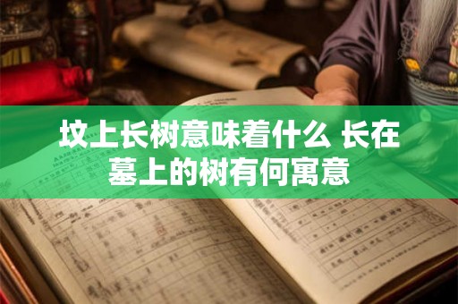 坟上长树意味着什么 长在墓上的树有何寓意